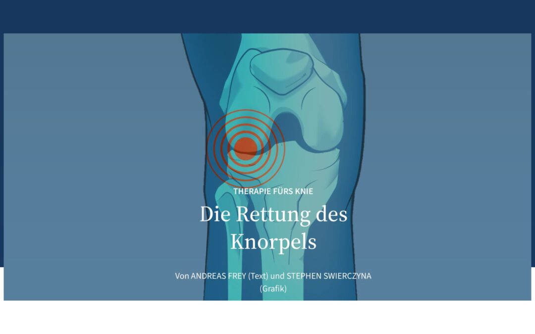 Cartilage Can Heal – New Therapy Offers Hope for Osteoarthritis Patients